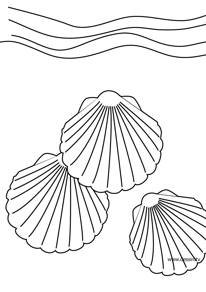 Dessin à colorier: Coquillage (Nature et saisons) #163146 - Coloriages à Imprimer Gratuits