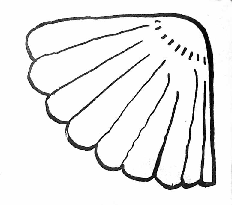 Dessin à colorier: Coquillage (Nature et saisons) #163147 - Coloriages à Imprimer Gratuits