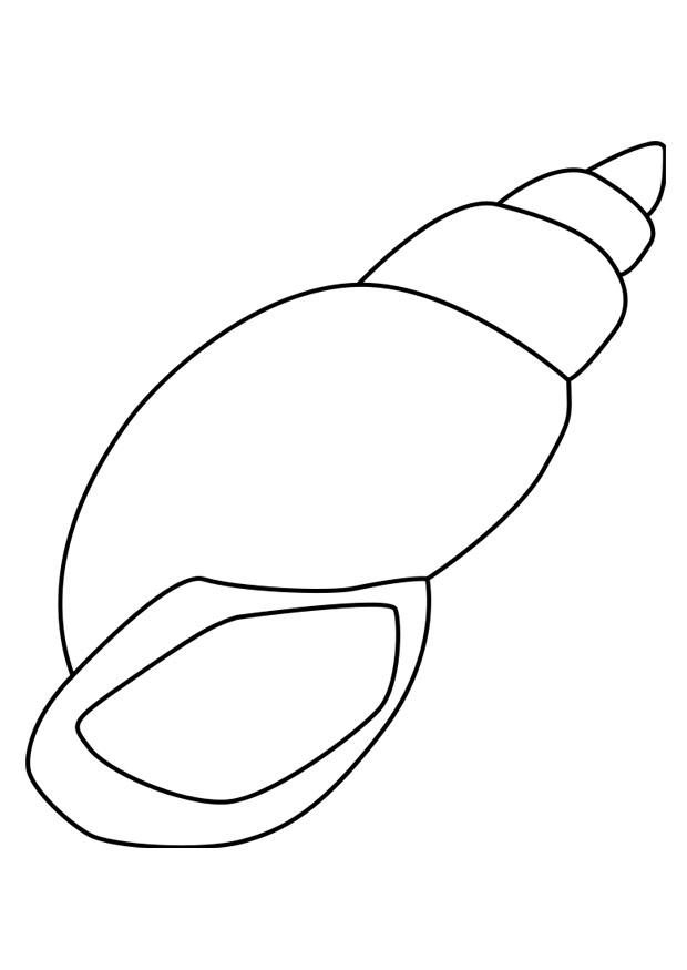 Dessin à colorier: Coquillage (Nature et saisons) #163153 - Coloriages à Imprimer Gratuits