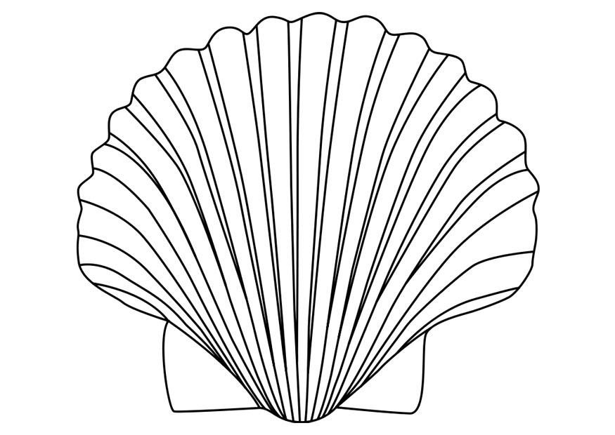 Dessin à colorier: Coquillage (Nature et saisons) #163163 - Coloriages à Imprimer Gratuits