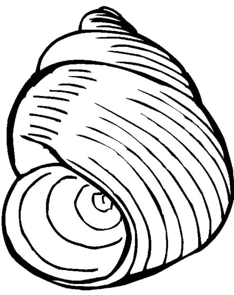 Dessin à colorier: Coquillage (Nature et saisons) #163165 - Coloriages à Imprimer Gratuits