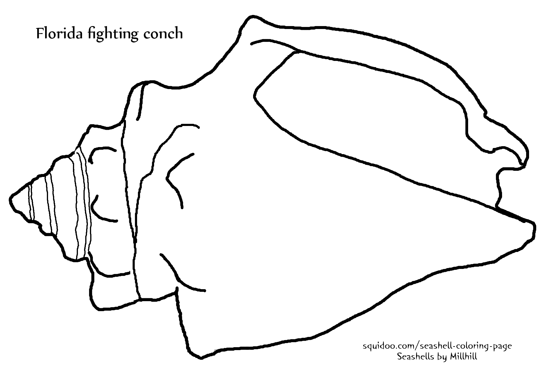 Dessin à colorier: Coquillage (Nature et saisons) #163168 - Coloriages à Imprimer Gratuits