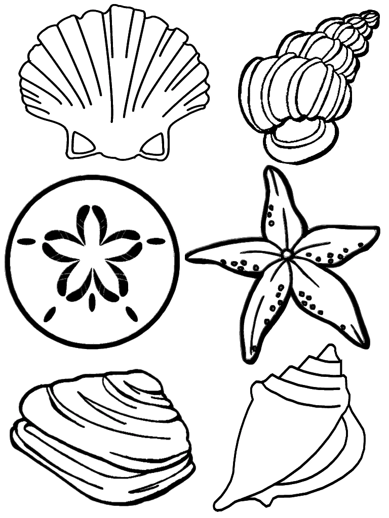 Dessin à colorier: Coquillage (Nature et saisons) #163170 - Coloriages à Imprimer Gratuits