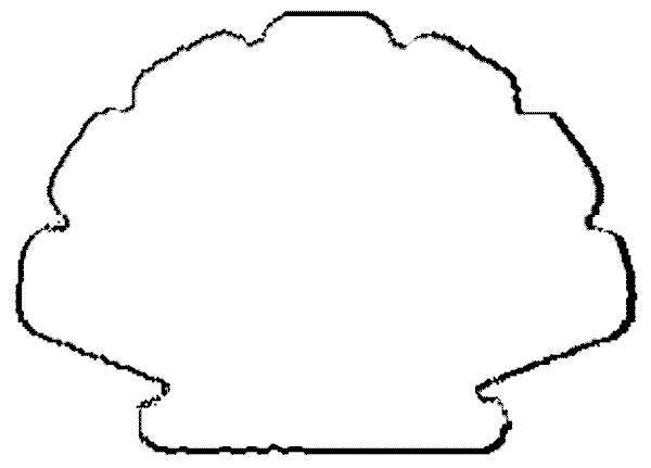Dessin à colorier: Coquillage (Nature et saisons) #163172 - Coloriages à Imprimer Gratuits