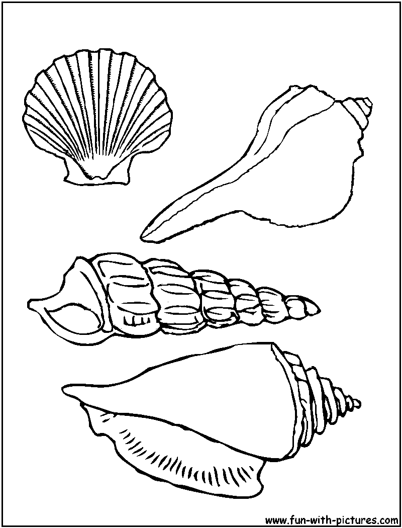 Dessin à colorier: Coquillage (Nature et saisons) #163174 - Coloriages à Imprimer Gratuits