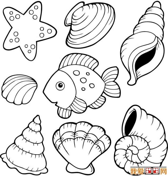 Dessin à colorier: Coquillage (Nature et saisons) #163190 - Coloriages à Imprimer Gratuits