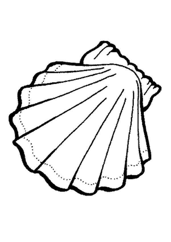 Dessin à colorier: Coquillage (Nature et saisons) #163203 - Coloriages à Imprimer Gratuits