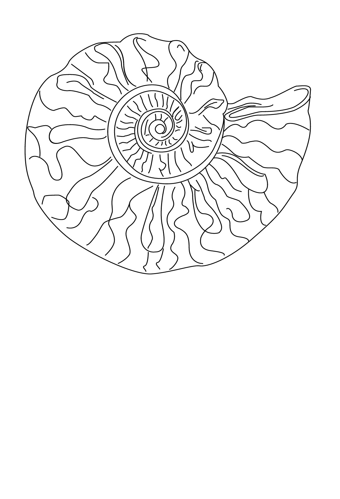 Dessin à colorier: Coquillage (Nature et saisons) #163204 - Coloriages à Imprimer Gratuits
