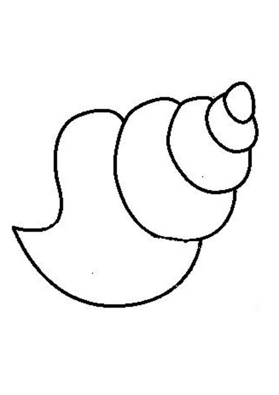 Dessin à colorier: Coquillage (Nature et saisons) #163219 - Coloriages à Imprimer Gratuits