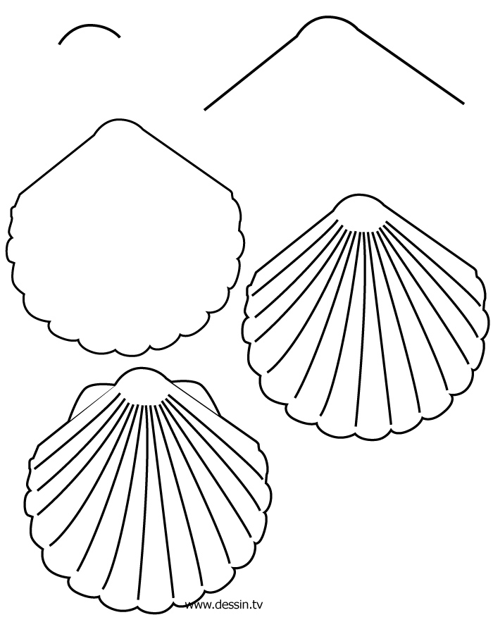 Dessin à colorier: Coquillage (Nature et saisons) #163239 - Coloriages à Imprimer Gratuits
