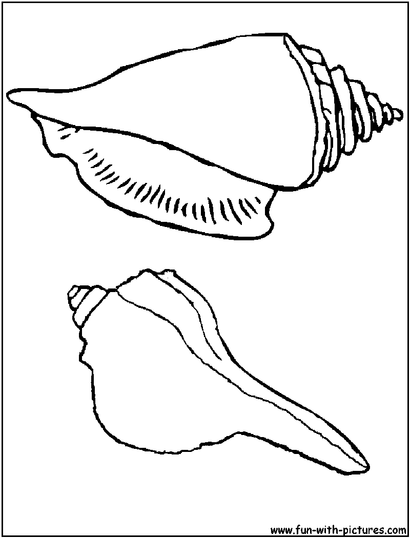 Dessin à colorier: Coquillage (Nature et saisons) #163273 - Coloriages à Imprimer Gratuits
