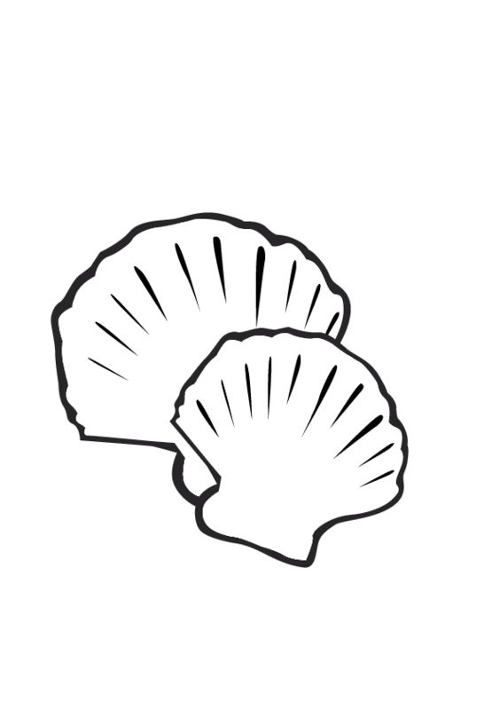 Dessin à colorier: Coquillage (Nature et saisons) #163318 - Coloriages à Imprimer Gratuits