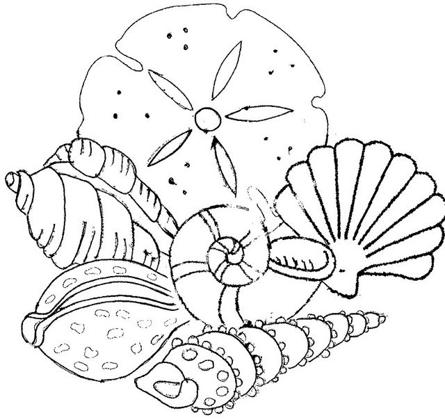 Dessin à colorier: Coquillage (Nature et saisons) #163363 - Coloriages à Imprimer Gratuits