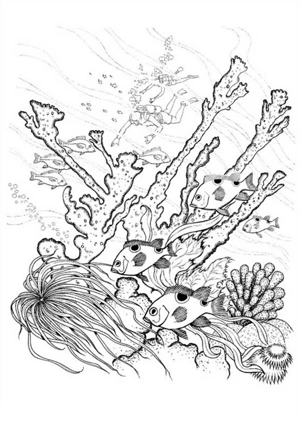 Coloriage gratuit pour enfants et adultes Corail #162970, collection Nature et saisons