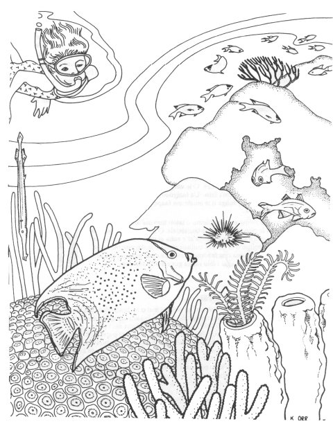 Coloriage gratuit Corail #162980 de la collection Nature et saisons à imprimer
