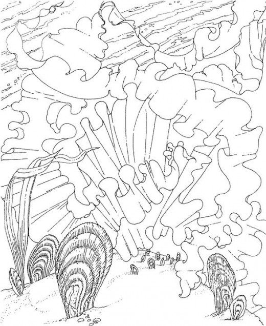Coloriage gratuit Corail #162985 de la collection Nature et saisons à imprimer