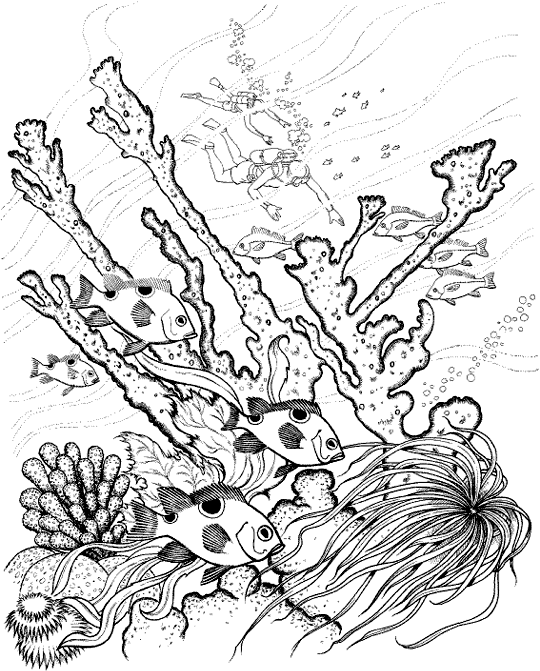 Coloriage gratuit Corail #163012 de la collection Nature et saisons à imprimer