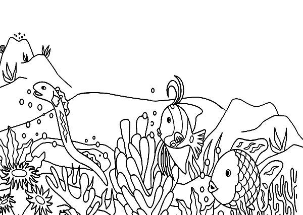 Coloriage gratuit Corail #163014 de la collection Nature et saisons à imprimer
