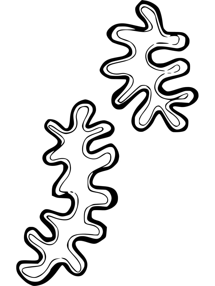 Coloriage gratuit Corail #210299 de la collection Nature et saisons à imprimer
