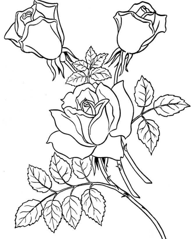 Coloriage gratuit Fleur #170906 de la collection Nature et saisons à imprimer