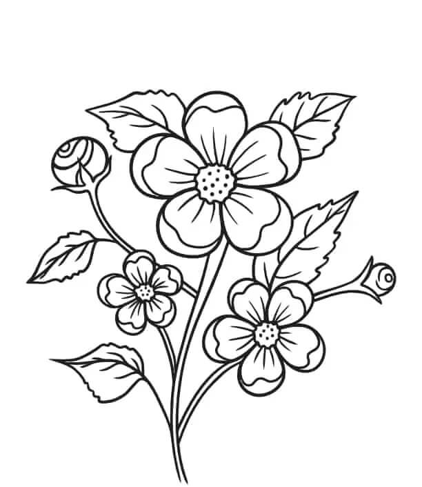 Coloriage gratuit pour enfants et adultes Fleur #170981, collection Nature et saisons