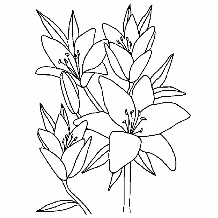 Coloriage gratuit Fleurs #154969 de la collection Nature et saisons à imprimer