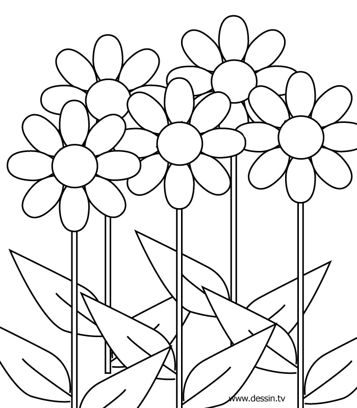 Coloriage gratuit Fleurs #154997 de la collection Nature et saisons à imprimer