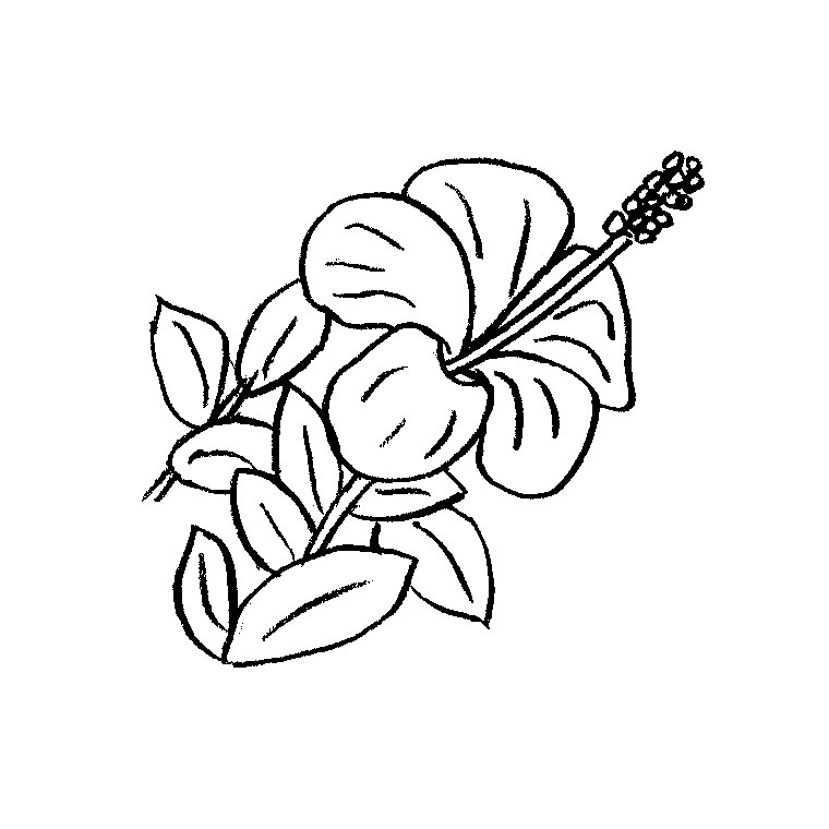 Dessin à colorier: Fleurs (Nature et saisons) #155014 - Coloriages à Imprimer Gratuits