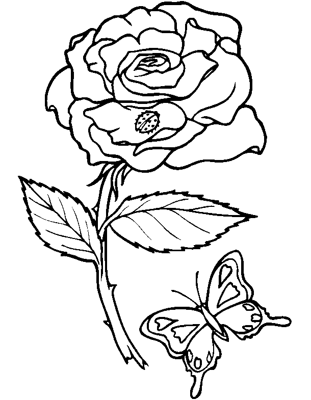 Coloriage gratuit Fleurs #155018 de la collection Nature et saisons à imprimer