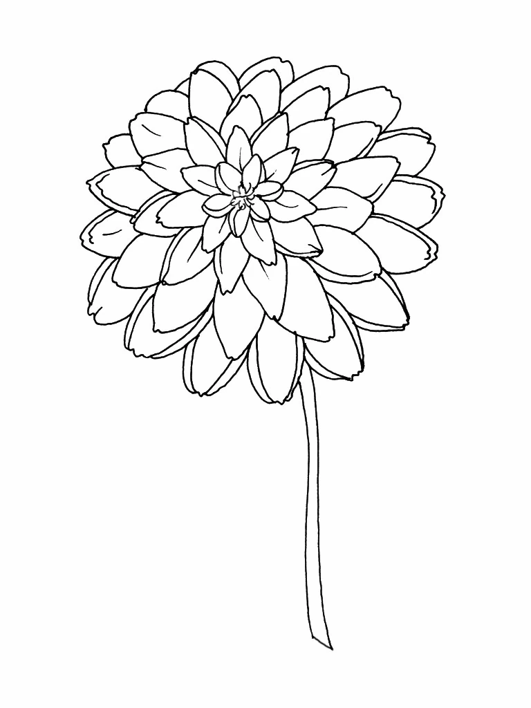 Coloriage gratuit Fleurs #155097 de la collection Nature et saisons à imprimer