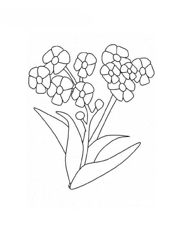 Page de coloriage Fleurs #155128, collection Nature et saisons, à imprimer et colorier