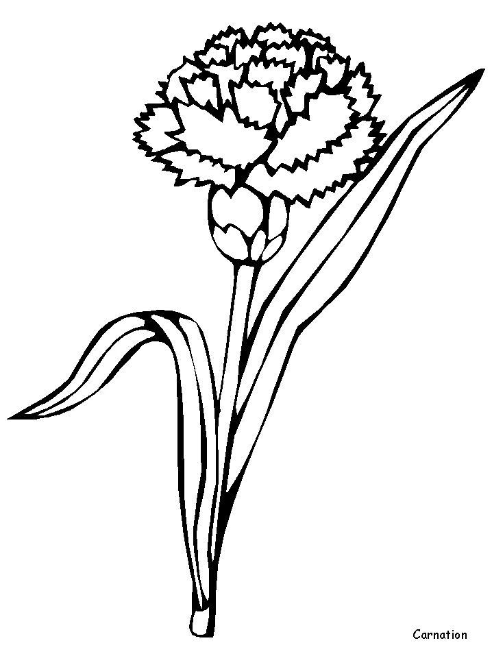 Page de coloriage Fleurs #155180, collection Nature et saisons, à imprimer et colorier