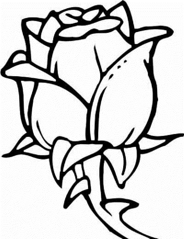 Dessin à colorier: Fleurs (Nature et saisons) #155204 - Coloriages à Imprimer Gratuits