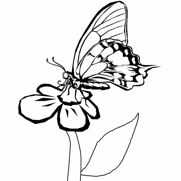 Dessin à colorier Fleurs #155241 issu de la collection Nature et saisons, prêt à imprimer