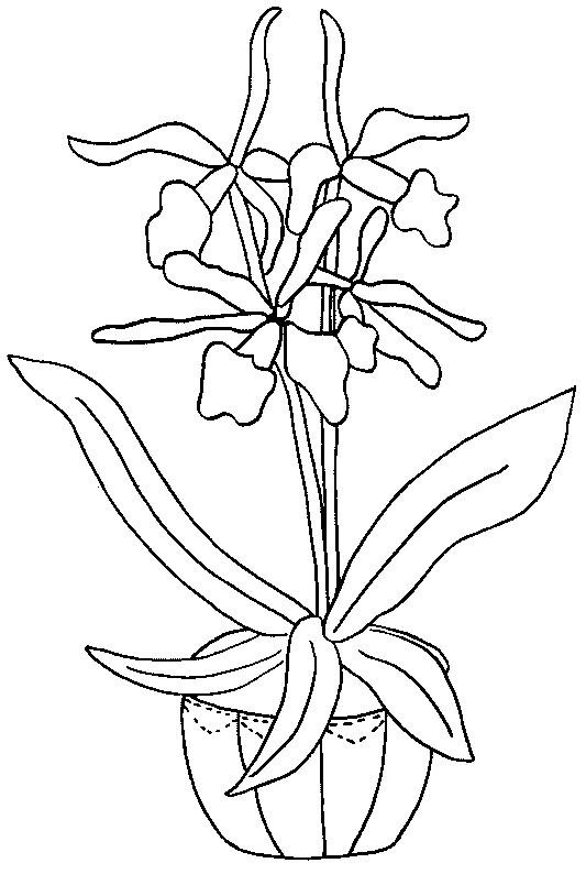 Coloriage gratuit Fleurs #155251 de la collection Nature et saisons à imprimer