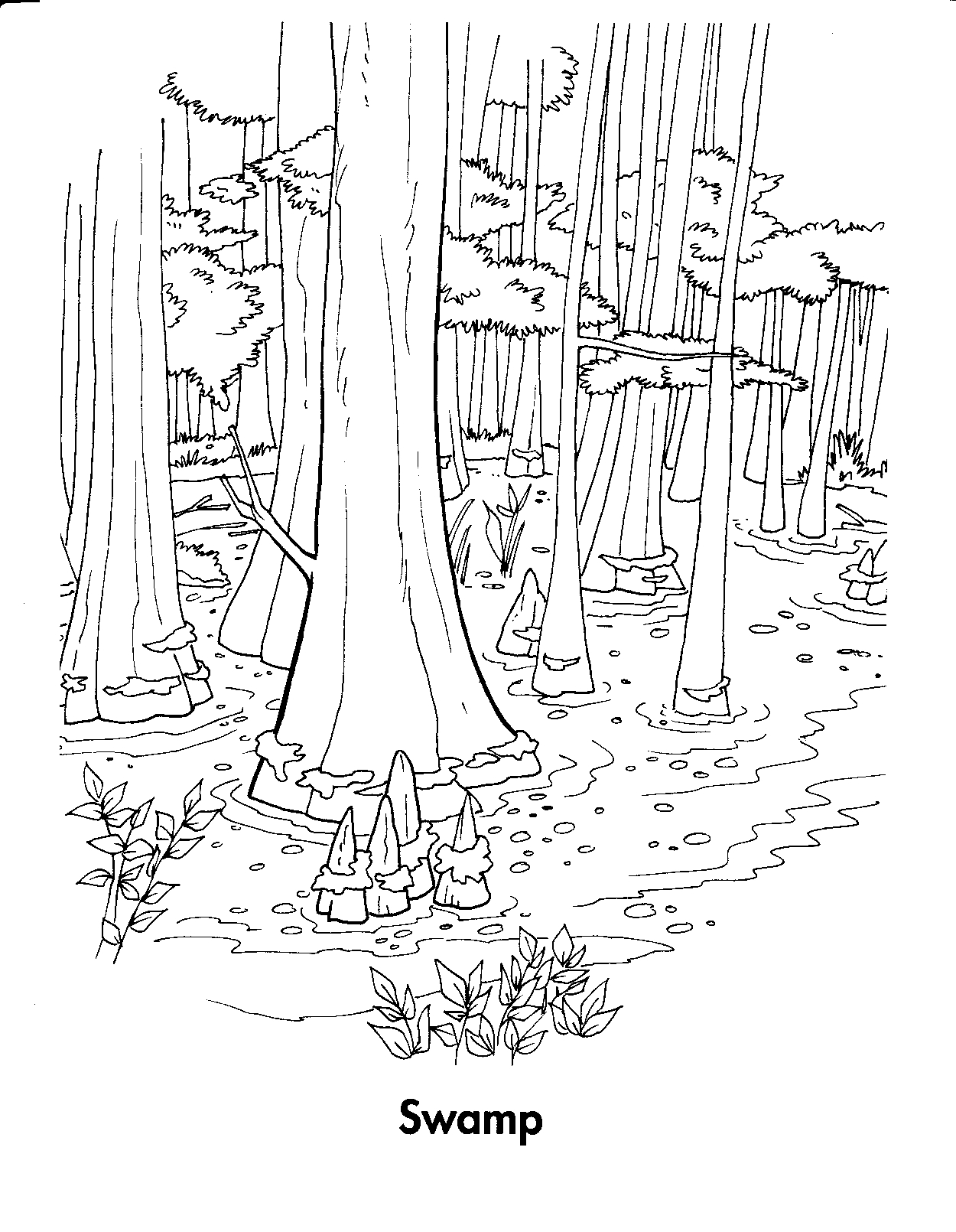 Dessin à colorier: Forêt (Nature et saisons) #157057 - Coloriages à Imprimer Gratuits