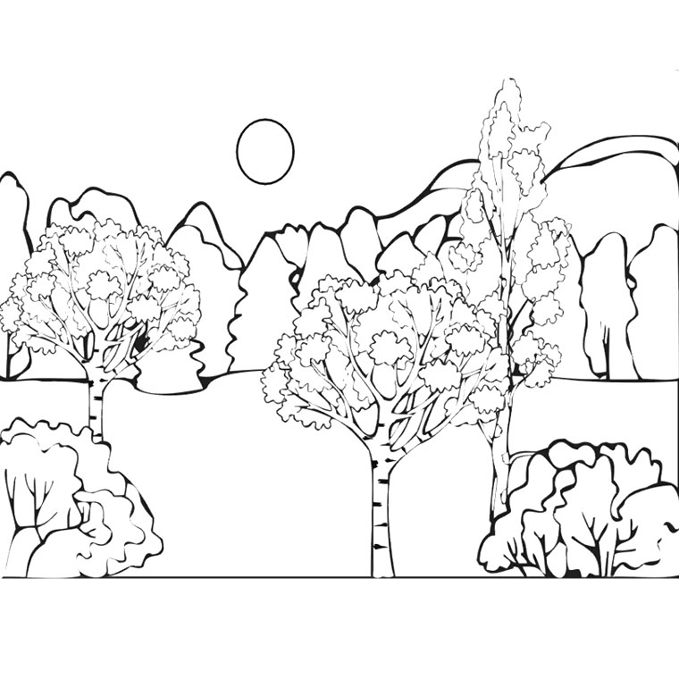 Dessin à colorier: Forêt (Nature et saisons) #157059 - Coloriages à Imprimer Gratuits