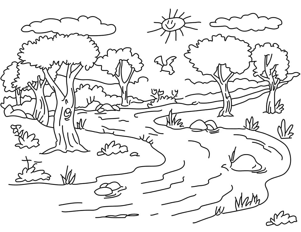 Coloriage à imprimer Forêt #191265 de la série Nature et saisons, gratuit pour enfants et adultes