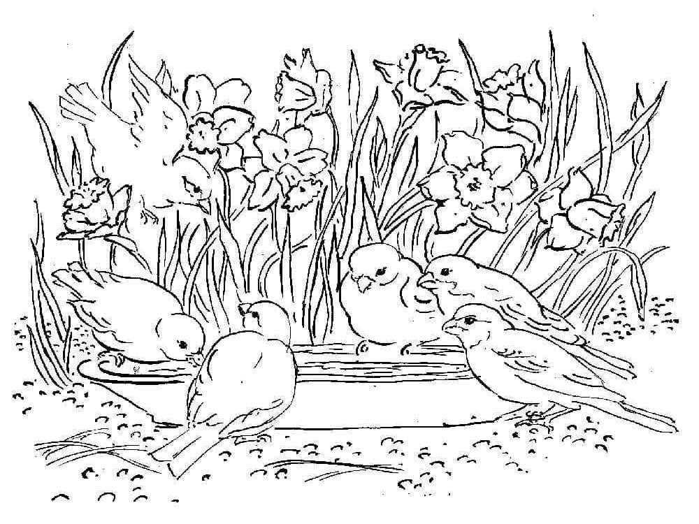 Coloriage gratuit Jonquille #189948 de la collection Nature et saisons à imprimer