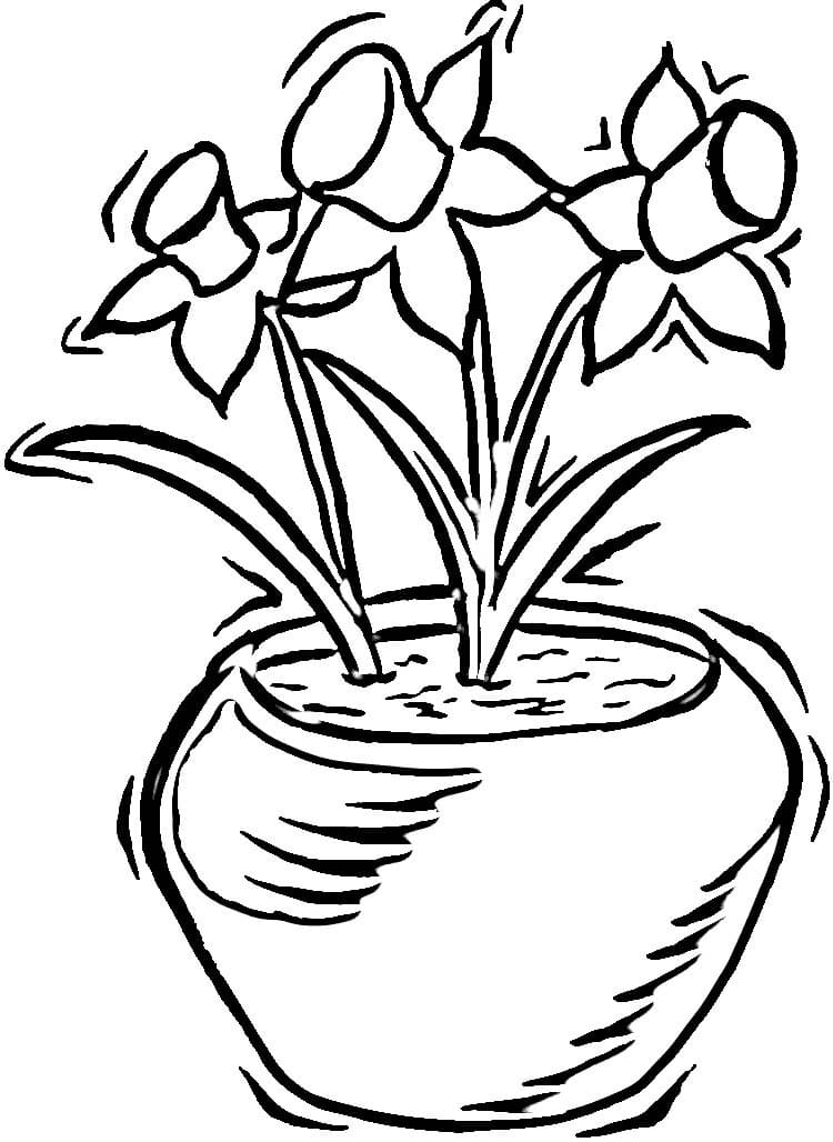 Coloriage gratuit Jonquille #189958 de la collection Nature et saisons à imprimer