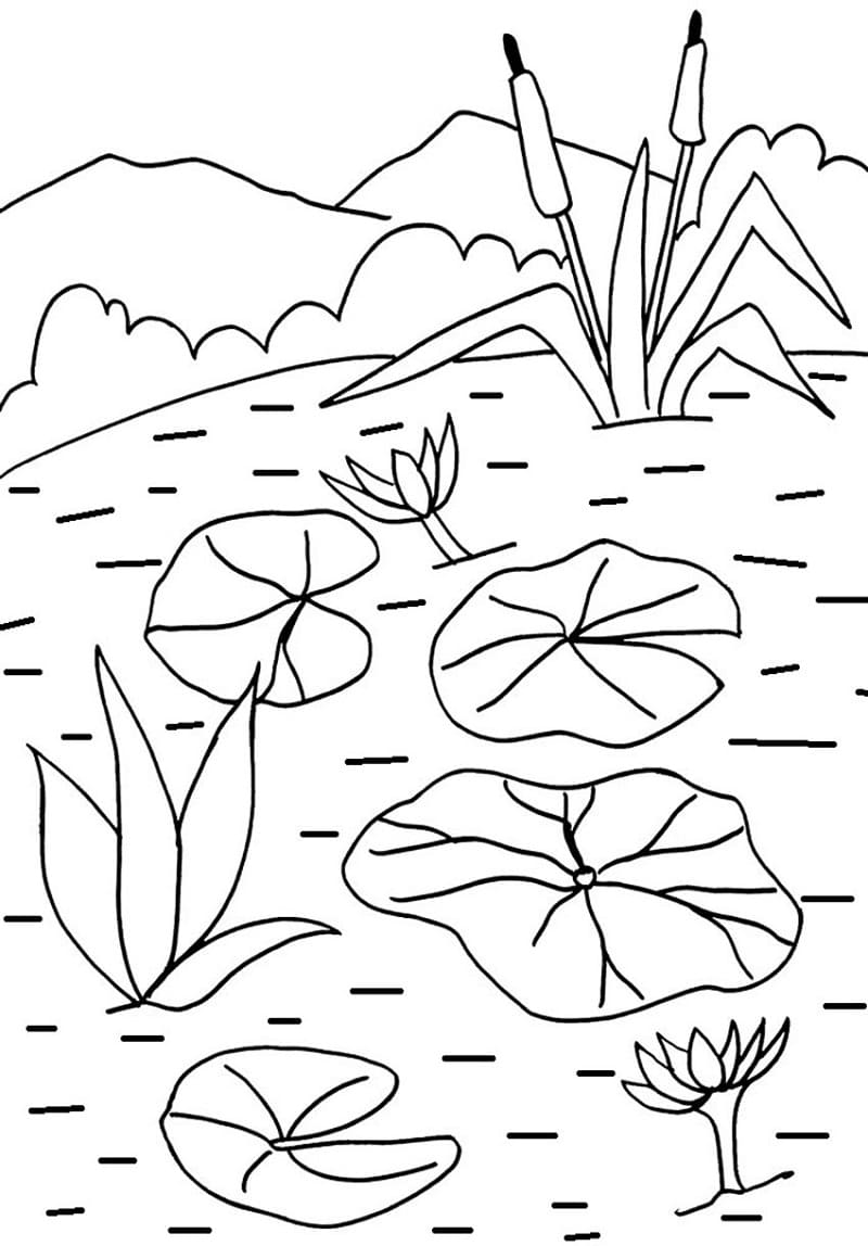 Coloriage gratuit Nénuphar #221880 de la collection Nature et saisons à imprimer