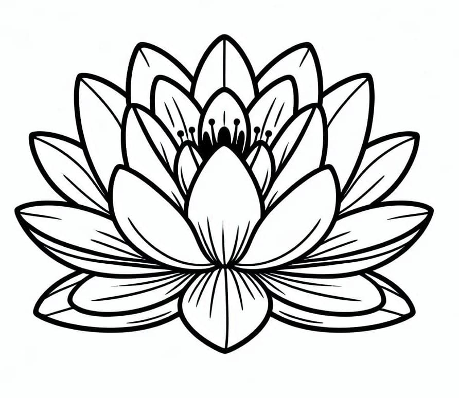 Dessin Nénuphar #221890 à colorier de la série Nature et saisons, gratuit à télécharger et imprimer Dessin Nénuphar #221890 à colorier de la série Nature et saisons, gratuit à télécharger et imprimer