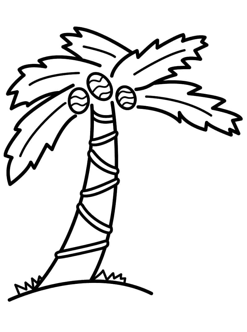 Coloriage gratuit pour enfants et adultes Palmier #200701, collection Nature et saisons