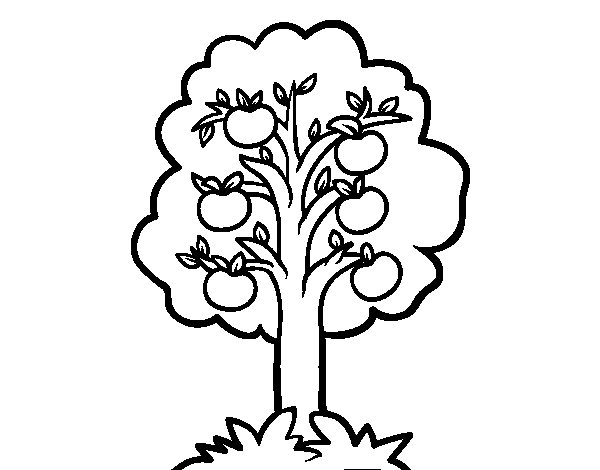 Dessin à colorier: Pommier (Nature et saisons) #163751 - Coloriages à Imprimer Gratuits