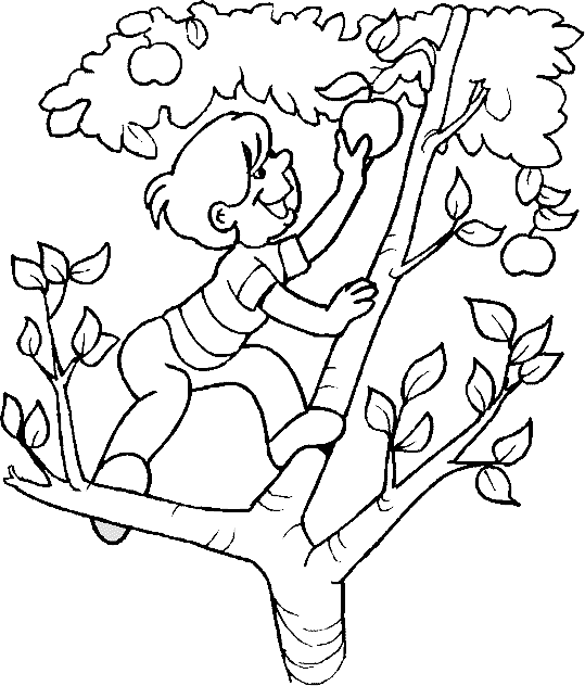 Coloriage gratuit Pommier #163768 de la collection Nature et saisons à imprimer