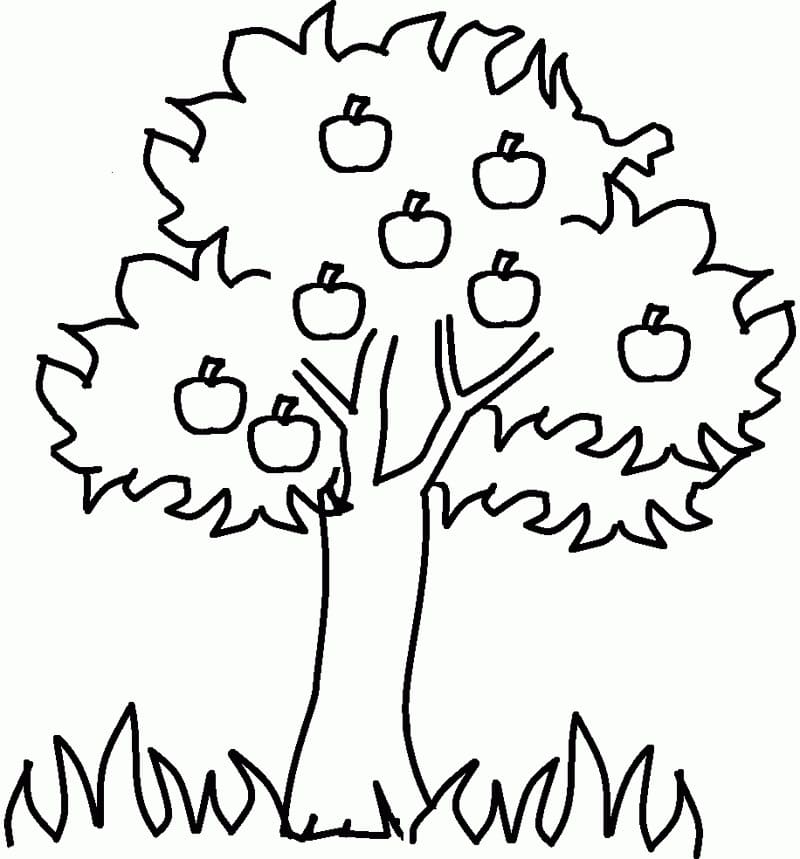 Coloriage imprimable Pommier #174059 de la collection Nature et saisons à colorier aux crayons