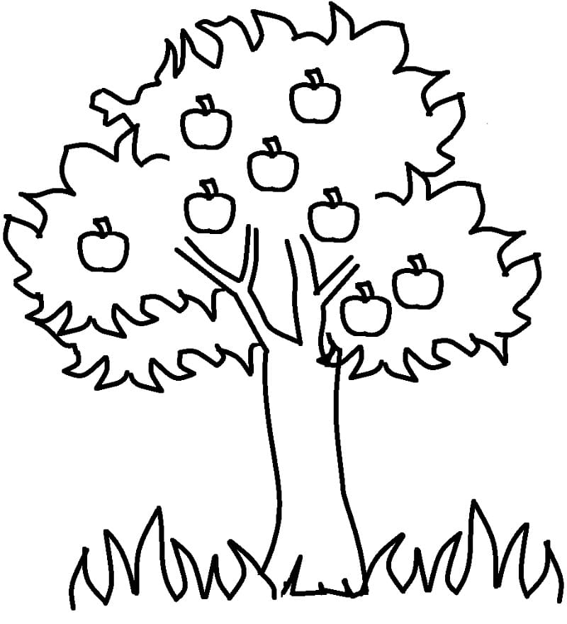 Coloriage gratuit pour enfants et adultes Pommier #174061, collection Nature et saisons Coloriage gratuit pour enfants et adultes Pommier #174061, collection Nature et saisons