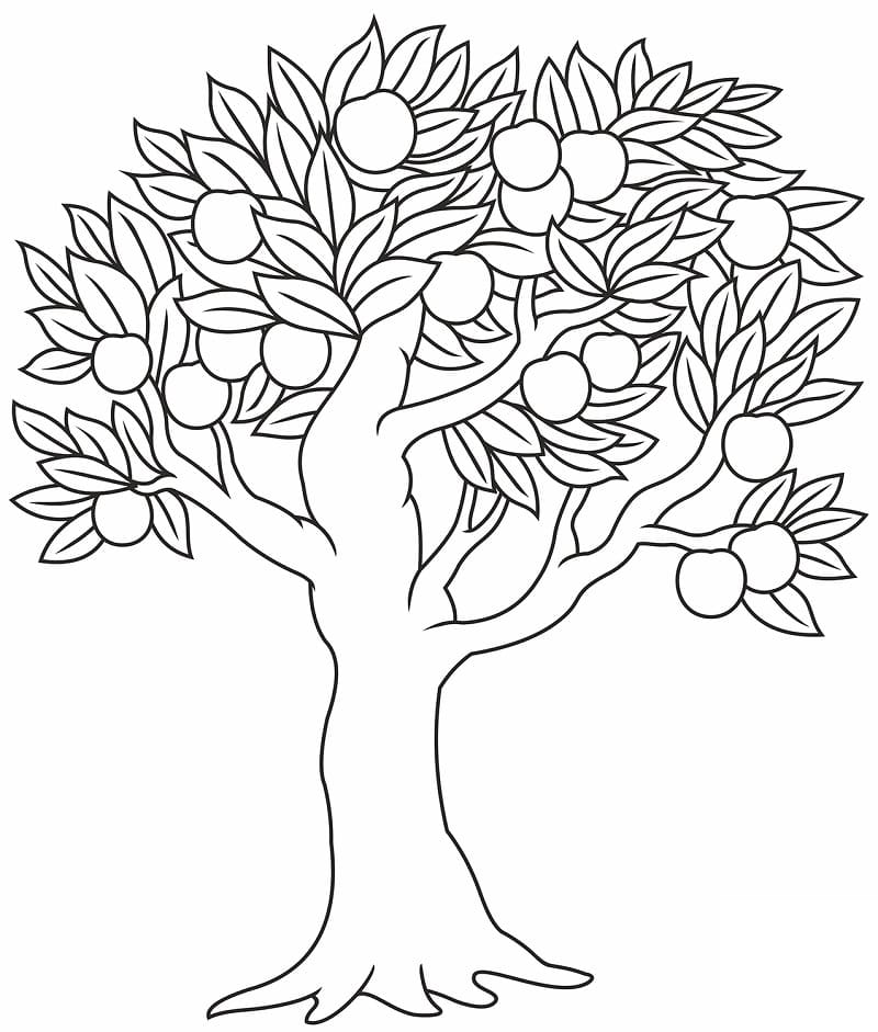 Dessin Pommier #174073 à colorier de la série Nature et saisons, gratuit à télécharger et imprimer