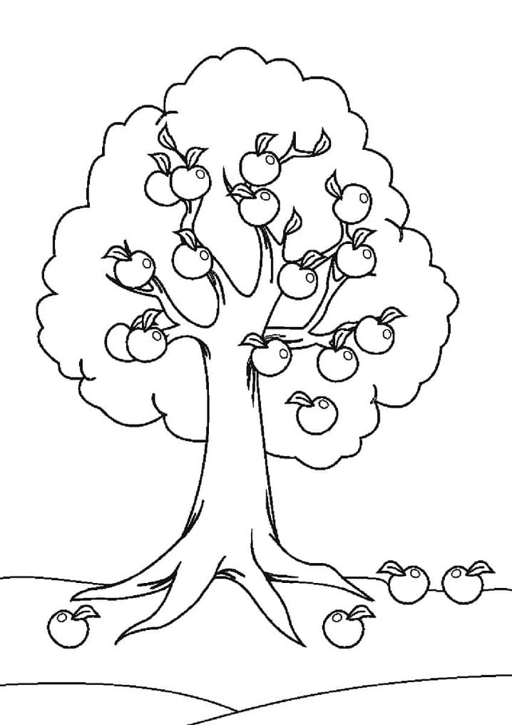 Joli coloriage Pommier #174080 de la collection Nature et saisons, prêt à imprimer pour petits et grands