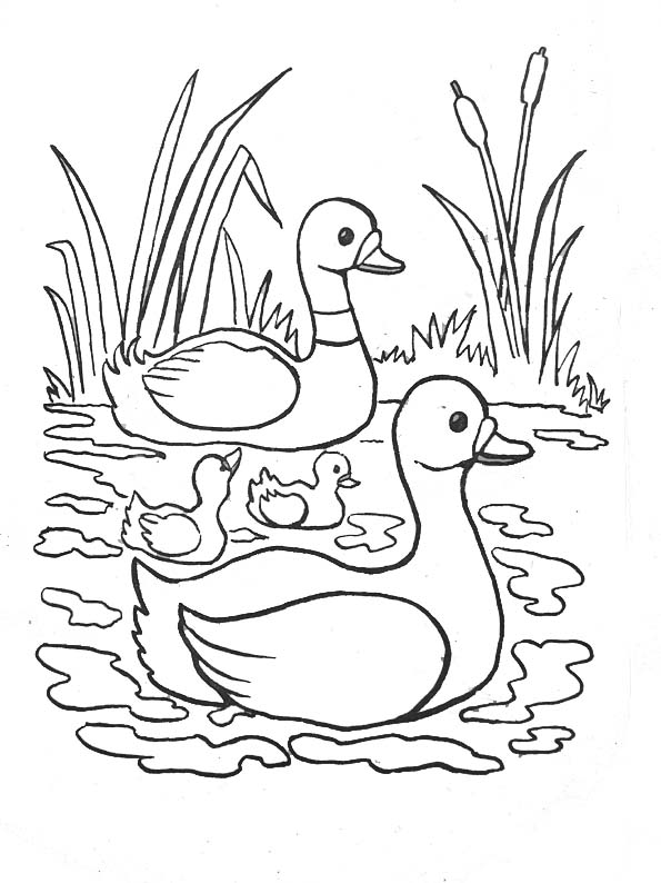 Coloriage gratuit Rivière #159321 de la collection Nature et saisons à imprimer
